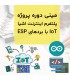 مینی دوره پلتفرم IoT با بردهای ESP