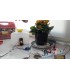 کیت گلخانه هوشمند سخنگو آبیاری گل‌ها مدل AD00777 مهندسیکا