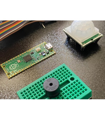کیت میکروپایتون تشخیص حرکت رزبری پیکو بر پایه Raspberry Pi Pico - دانشجو کیت
