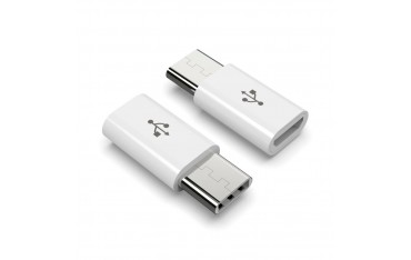 مبدل Micro USB به Type-C مناسب برد رزبری پای 4