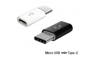 مبدل Micro USB به Type-C مناسب برد رزبری پای 4